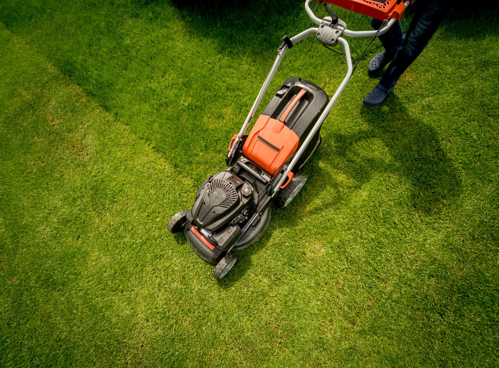 How Professional Lawn Care Services Can Transform Your Yard in Attica