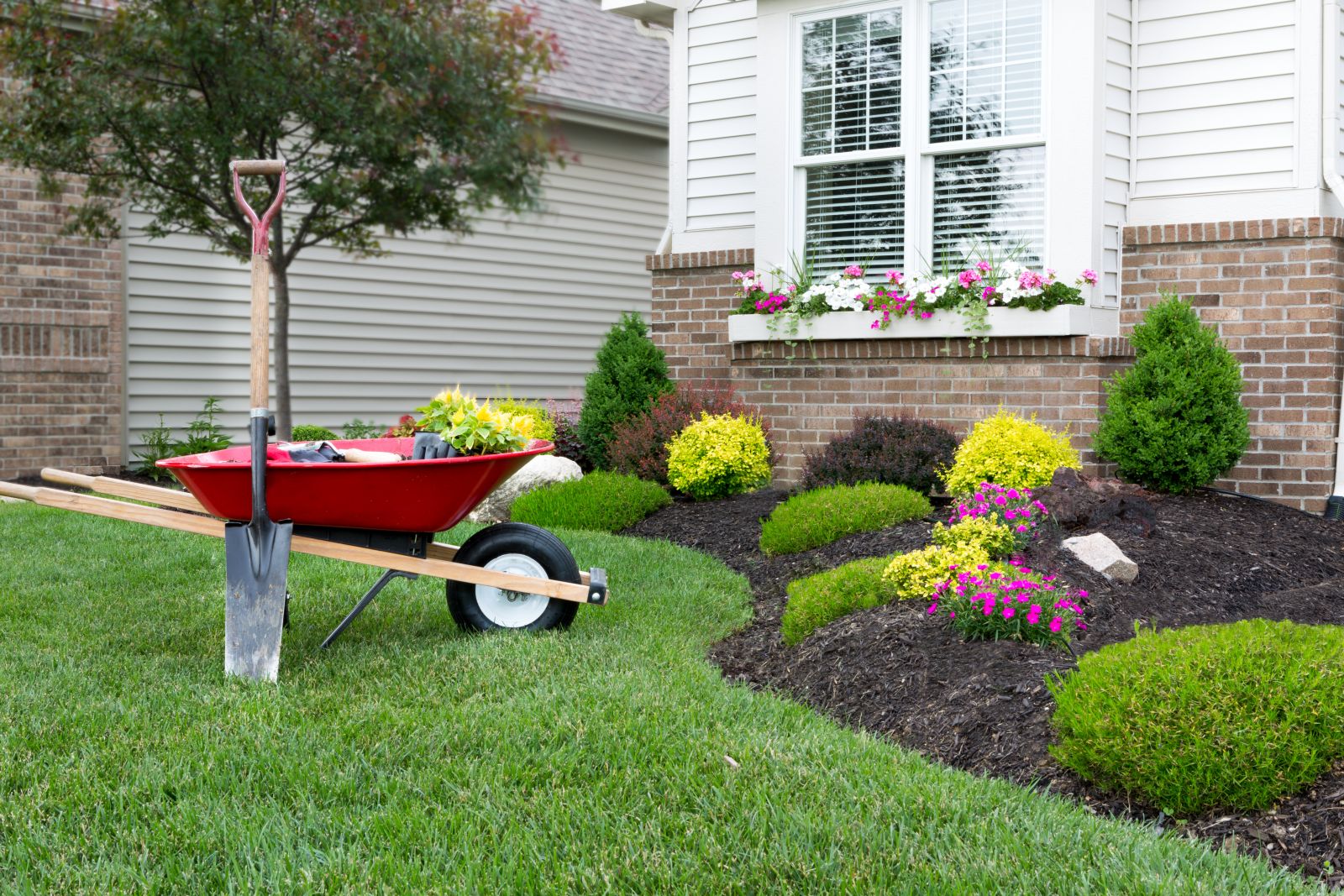6 Common Landscaping Mistakes to Avoid for a Stunning Yard
