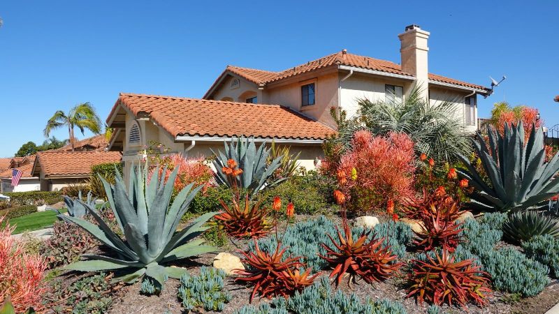 Revamp Your Curb Appeal: Landscaping and Design Solutions for Every Home
